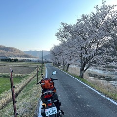 ホンダrick 150vcの画像