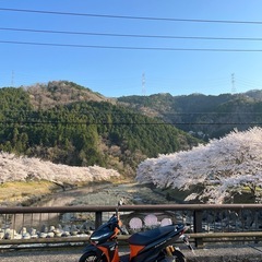 ホンダrick 150vcの画像