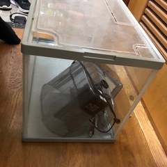 【12月までの出品】水槽の画像