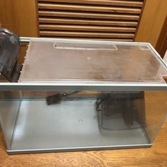【12月までの出品】水槽の画像