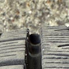 155/65r13 iceGUARD iG60 2021年製7〜8分山の画像