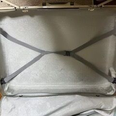 【レア品】サムソナイト　パールピンク大型スーツケースの画像