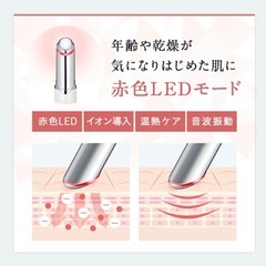 ルメント　アイケアプロの画像