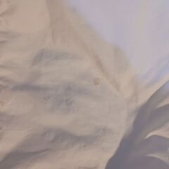 ニトリ羽毛掛布団　羽毛　掛布団　ふとんの画像