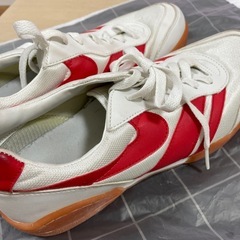 【未使用】体育館シューズ　26.0cmの画像