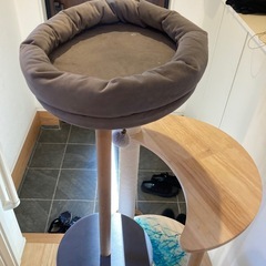 キャットタワーの画像