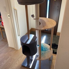 キャットタワーの画像