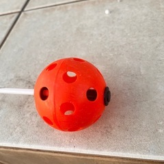 キレダスの画像