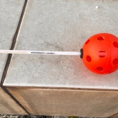 キレダスの画像