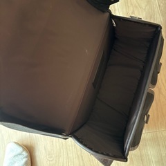 トライアンフサイドバックの画像