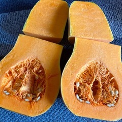 バターナッツカボチャの画像