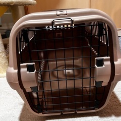 ペットキャリーの画像