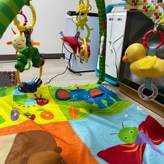 ベビープレイジムの画像