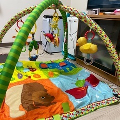 ベビープレイジムの画像