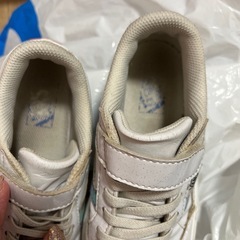 VANS 20cm スニーカーの画像