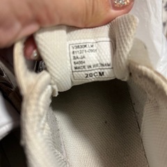 VANS 20cm スニーカーの画像