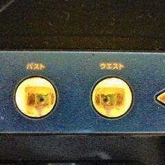 超音波美顔器　不具合なし　ケース汚れあり【定型文不可】の画像