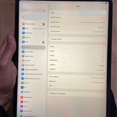 Apple ipad pro 12.9 インチ　の画像