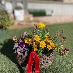 季節を運ぶ冬色寄せ植えの画像