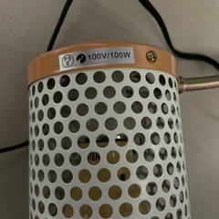 小動物用保温電球100wの画像