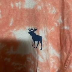 アバクロンビー＆フィッチ ロンT🦌の画像