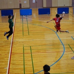 HANDA RED BRICKS ／ ハンドボールクラブの画像