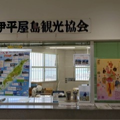 シーサー《大人気⭐︎数量限定》の画像