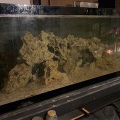 オーバーフローアクリル大型水槽１８０ｘ６５ｘ６５の画像