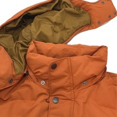 Patagonia ダウンの画像