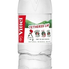 Vittel(ヴィッテル) 硬水 ナチュラルミネラルウォーター ペットボトル 500ml × 24本 (フランス ヴォージュ山脈 カルシウム マグネシウム)の画像
