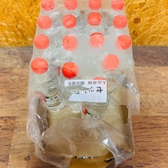 Vittel(ヴィッテル) 硬水 ナチュラルミネラルウォーター ペットボトル 500ml × 24本 (フランス ヴォージュ山脈 カルシウム マグネシウム)の画像