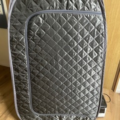 WILLOWYBE  家庭用スチームサウナの画像