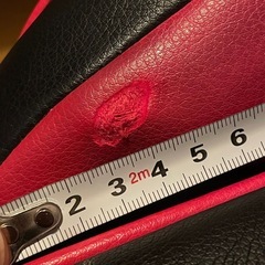 AKRACING PRO  X SERIES
  の画像