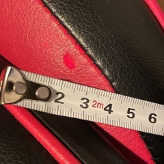 AKRACING PRO  X SERIES
  の画像