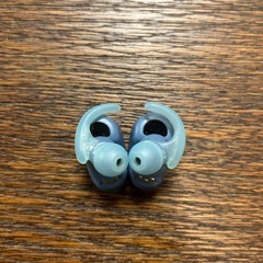 ソニー B​​C-WFSP800Nの画像