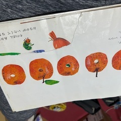 はらぺこあおむしの画像