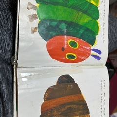 はらぺこあおむしの画像