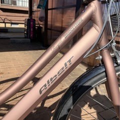 アルベルト　ロイヤル　ブロンズ　2025年モデルの画像