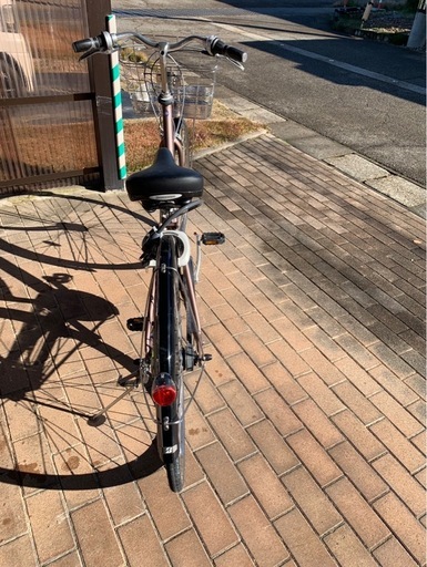 アルベルト ロイヤル ブロンズ 2025年モデル 2024