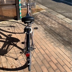 アルベルト　ロイヤル　ブロンズ　2025年モデルの画像