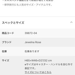 ACE　スーツケース の画像