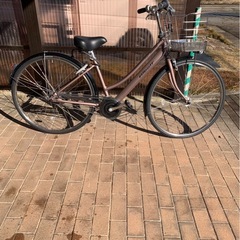 アルベルト　ロイヤル　ブロンズ　2025年モデルの画像