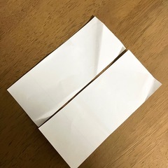 加西 フラワーセンター 入園券 2枚セットの画像