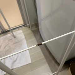 洗濯機上収納棚の画像