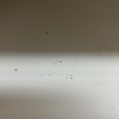 東芝電子レンジオーブンレンジの画像