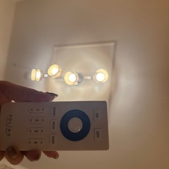 シーリングライト（決まりました）の画像