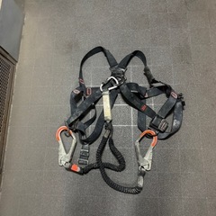 フルハーネスの画像