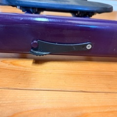 レッグマジック X パープルの画像