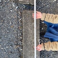 ラッセン  ビーチパラソルの画像