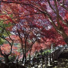 木曜日（１１月11日）大山寺に行きましょう！ 
